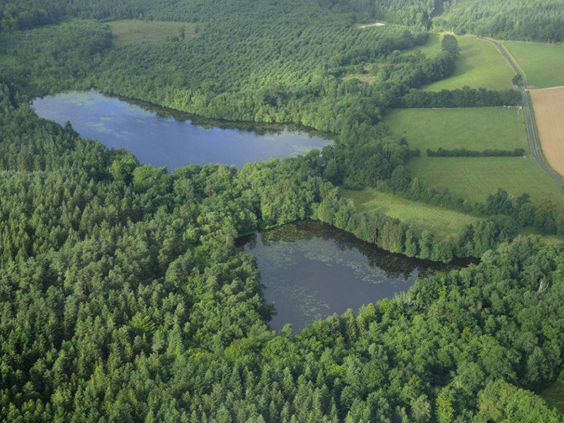 © Parc naturel régional du Perche Réserve naturelle régionale de Bresolettes