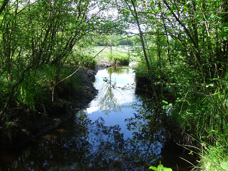 © Parc naturel régional du Perche Réserve naturelle régionale de Bresolettes