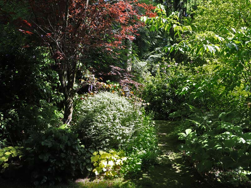 ©JE Rubio Jardin Retiré - Bagnoles de l'Orne