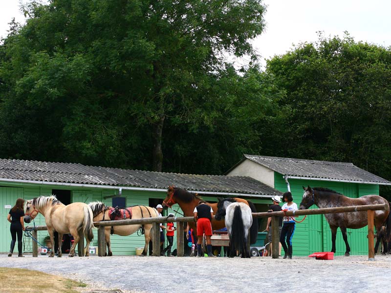 ©J.E. Rubio-CD61 Centre équestre La Rotourelle - Ste Croix sur Orne