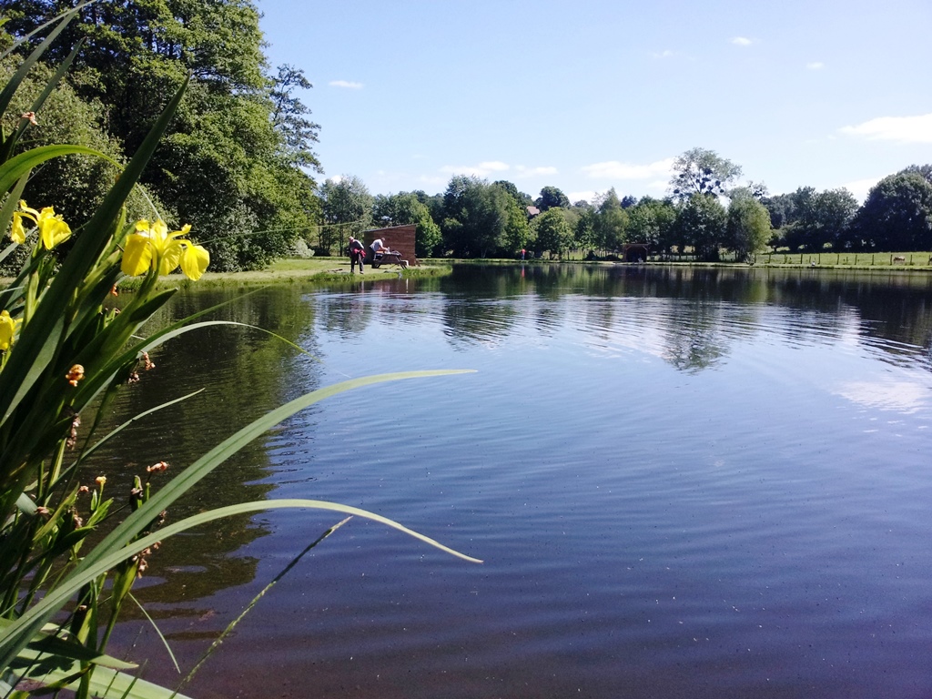 Les Etangs du Val de Sée