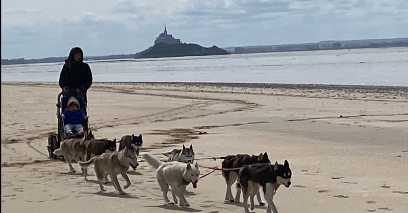 Association Les Huskys de la Baie