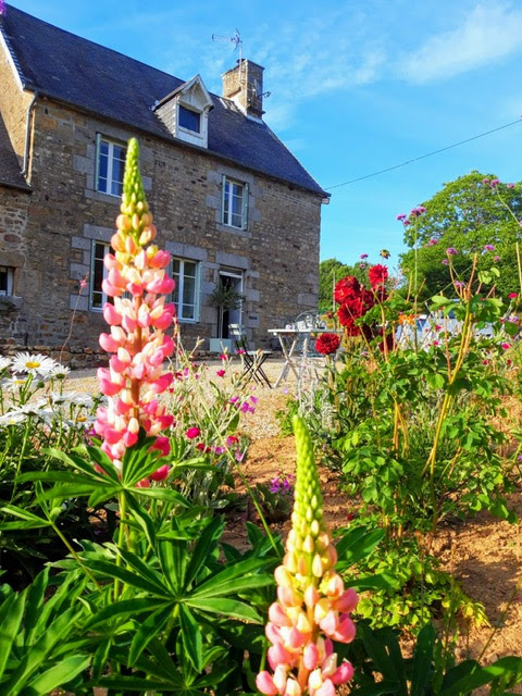 Meublé de tourisme > Apple Tree Hill - Le Pommier