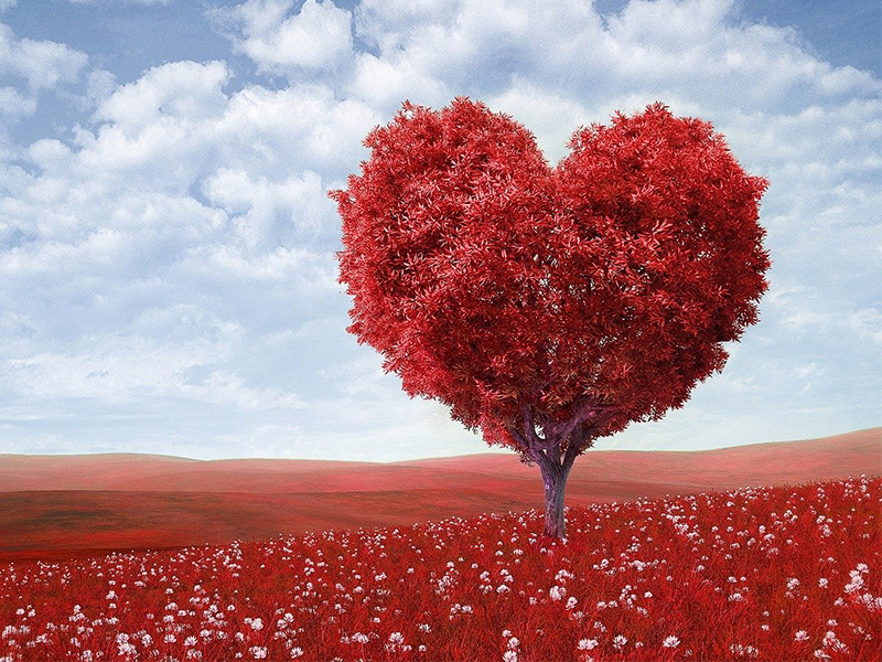saint valentin ©skeeze saint valentin
