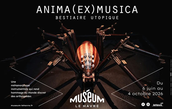 Exposition :  Anima (Ex) Musica