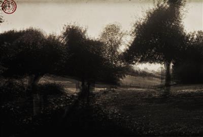 Alph. B. Seny Série « point de vue »