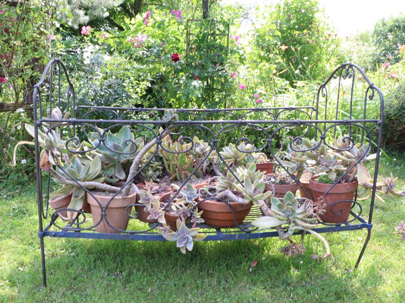 ©M. Beslin GDF61 Jardin du clos de la vieille court - La Carneille