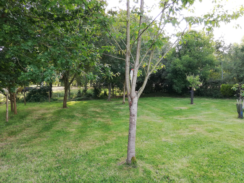 Camping chez l'habitant