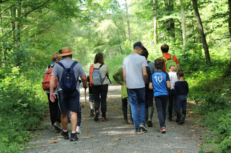 sortie-nature-foret-IOI-4