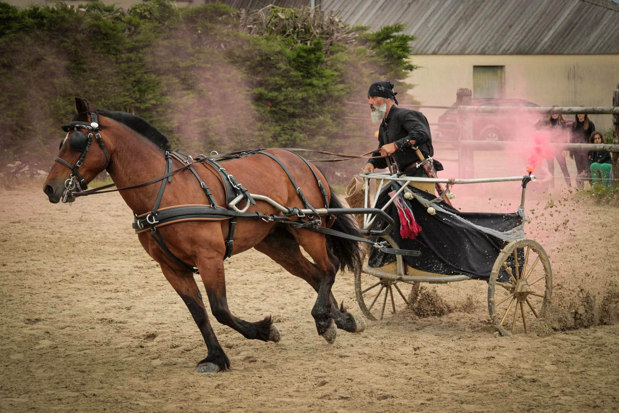   spectacle equestre-compagnons nicollerie 