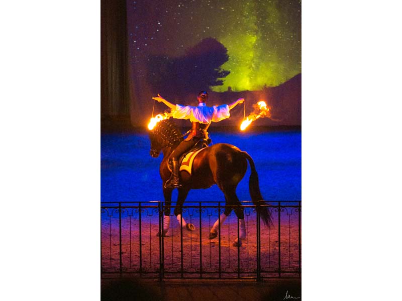 ©Mélanie Guillamot Spectacle équestre au Haras national du Pin