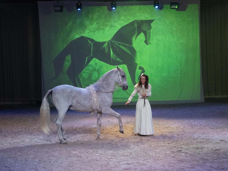 ©David Commenchal Spectacle équestre au Haras national du Pin