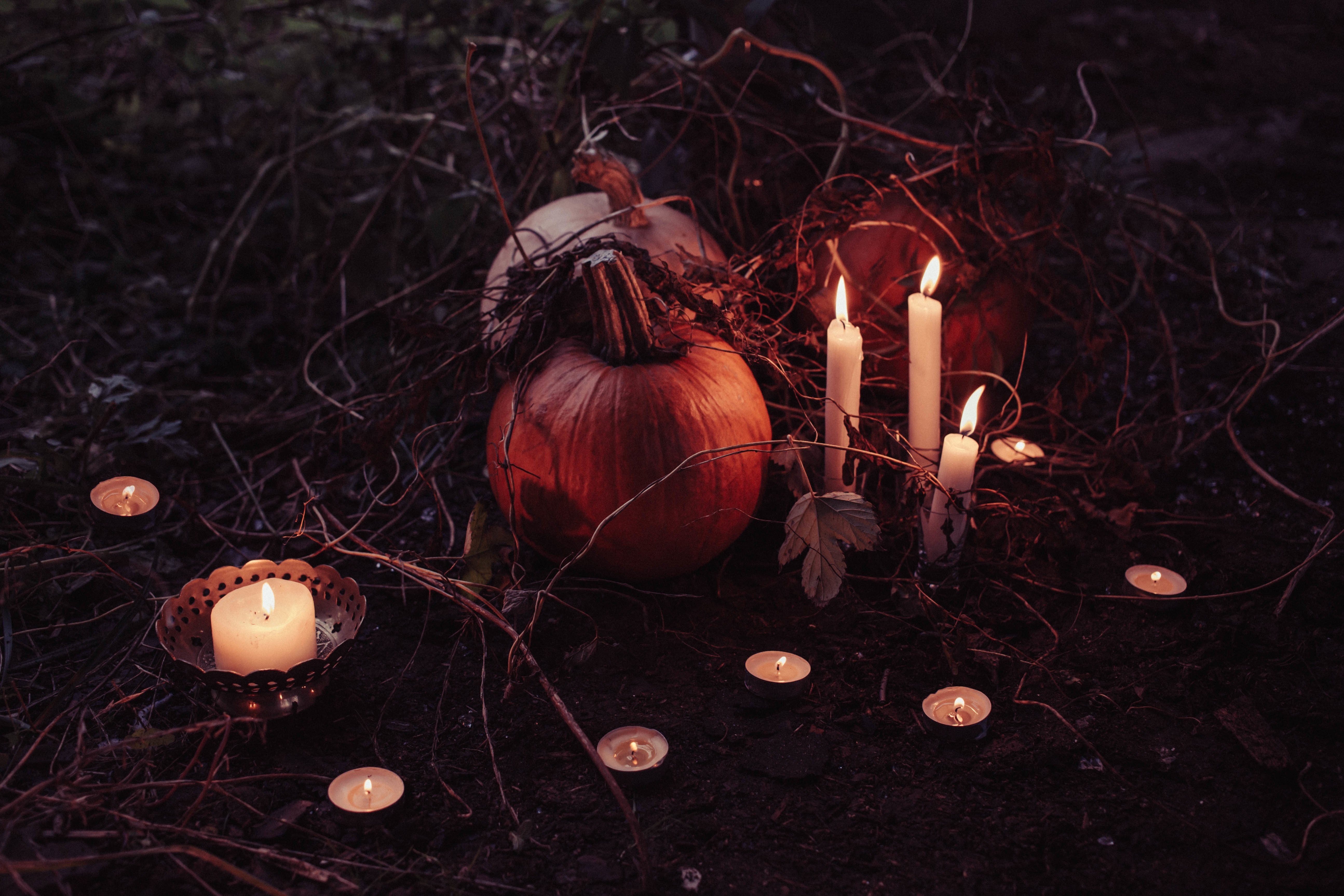 halloween - ©pixabay 2026 halloween