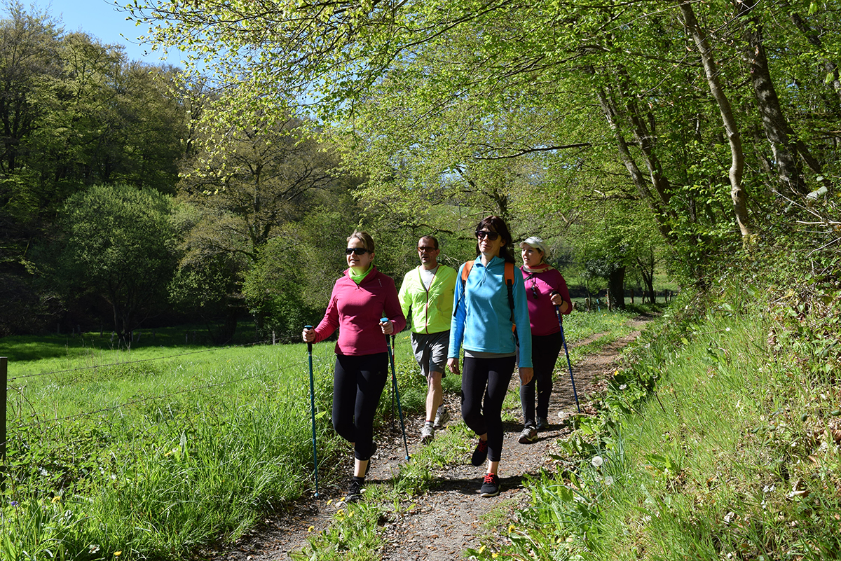 Sur les traces des templiers