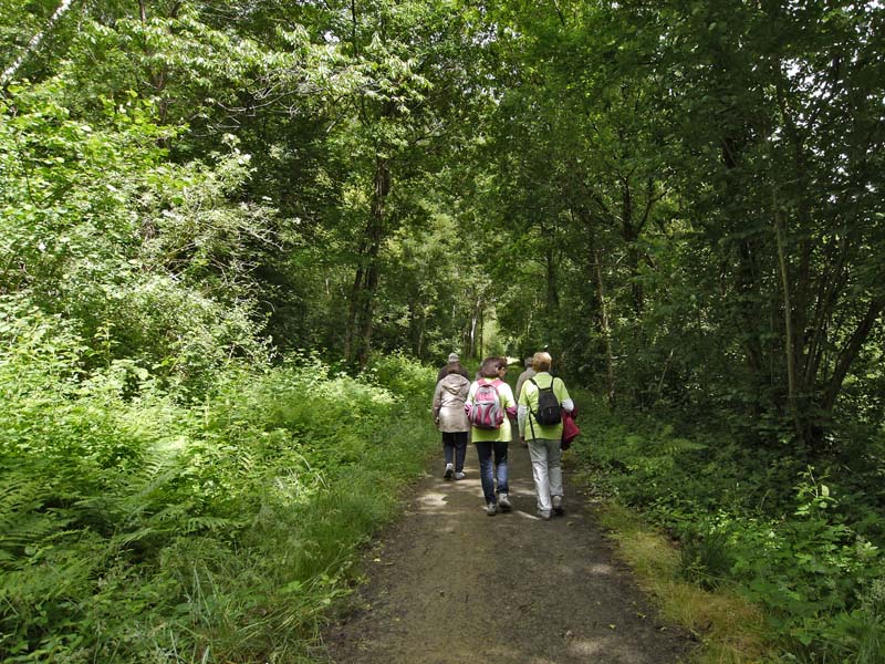 ©OT Domfront Tertre Sainte Anne - Domfront