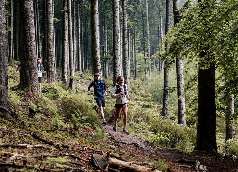 trail_en_foret_d_ecouves_avec_sylvaine_cussot_-_thomas_le_floc_h-thomas