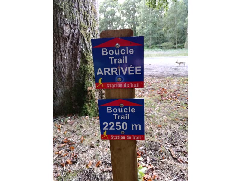 ©Orne Tourisme Station de trail du massif d'Ecouves