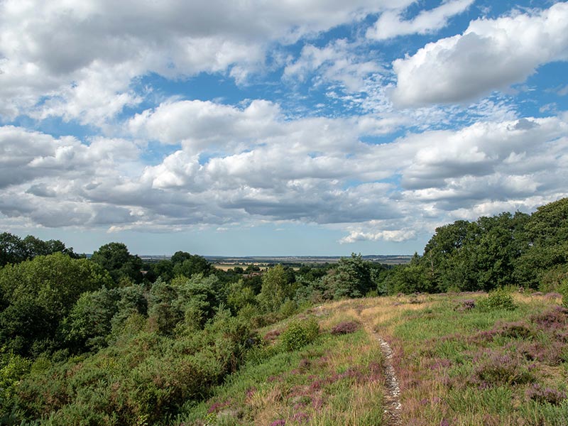 © D Commenchal Le Vaudobin et les gorges du Meillon