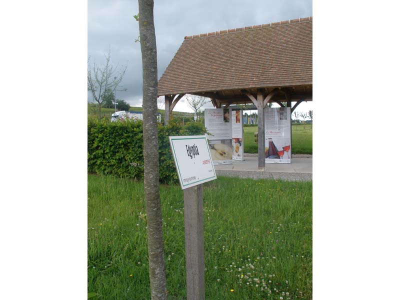 ©PAPAO Verger de la porte du Pays d'Auge - Gacé