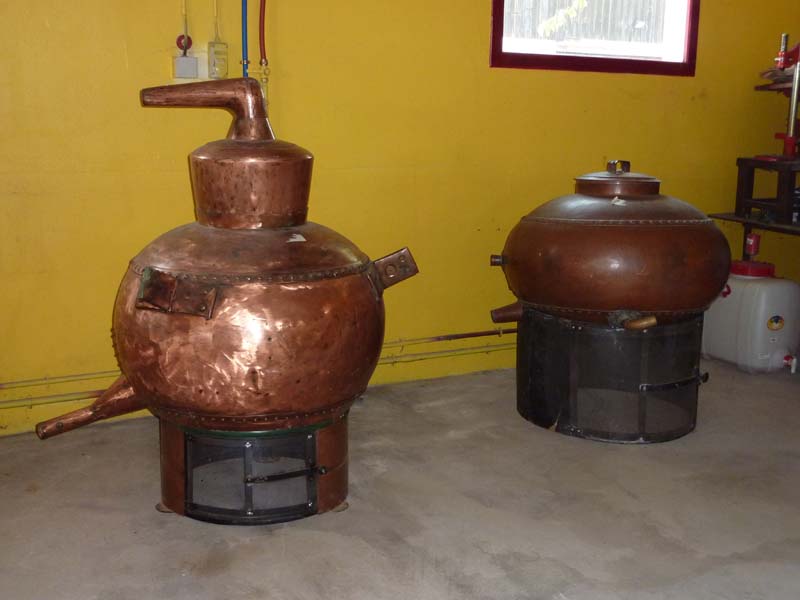 ©OT Pays du Camembert Les Vergers du Chouquet - Roiville