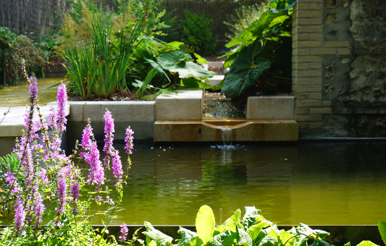 Jardin du Silence