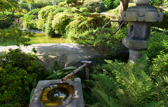 Vignette - Jardin japonais