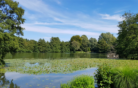 Parc de Rouelles