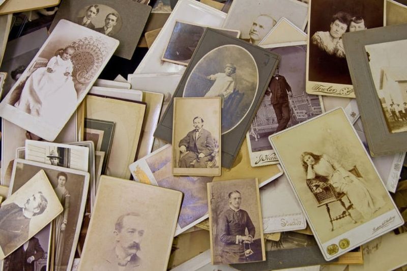 visuel-genealogie800 ©médiathèque visuel-genealogie800