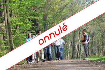 visuel-marche-nordique-annule-2 bebagnoles visuel-marche-nordique-annule-2