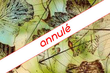 visuel-nature-annule-2 bebagnoles visuel-nature-annule-2