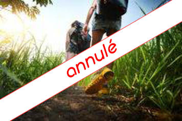 visuel-rando-annule-4 bebagnoles visuel-rando-annule-4