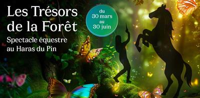 Spectacle équestre " Les trésors de la Forêt "