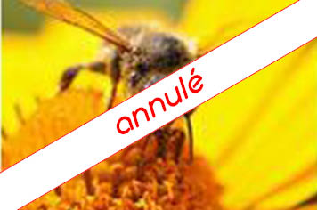 visuel-visite-rucher-annulation bebagnoles visuel-visite-rucher-annulation