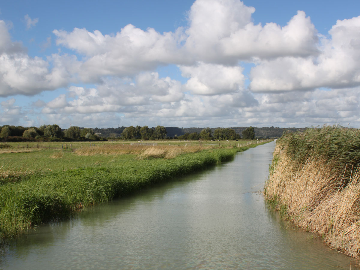 vue_marais_Hode_stephanie_r