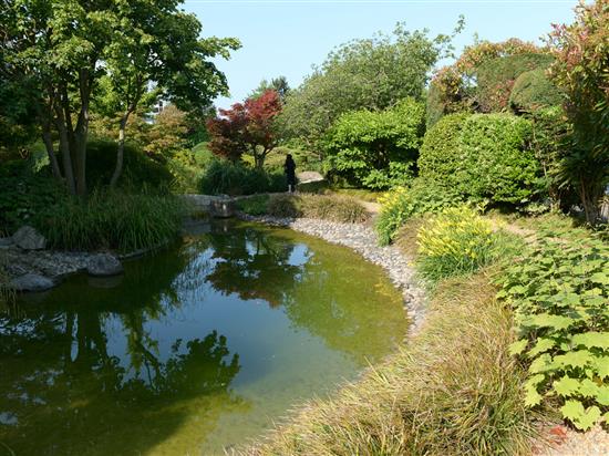 Jardin Japonais