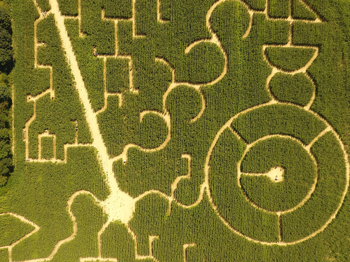 Labyrinthe de l'Estuaire