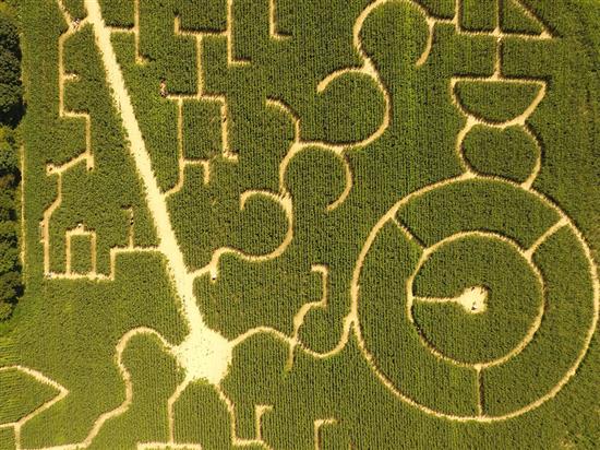 Labyrinthe de l'Estuaire