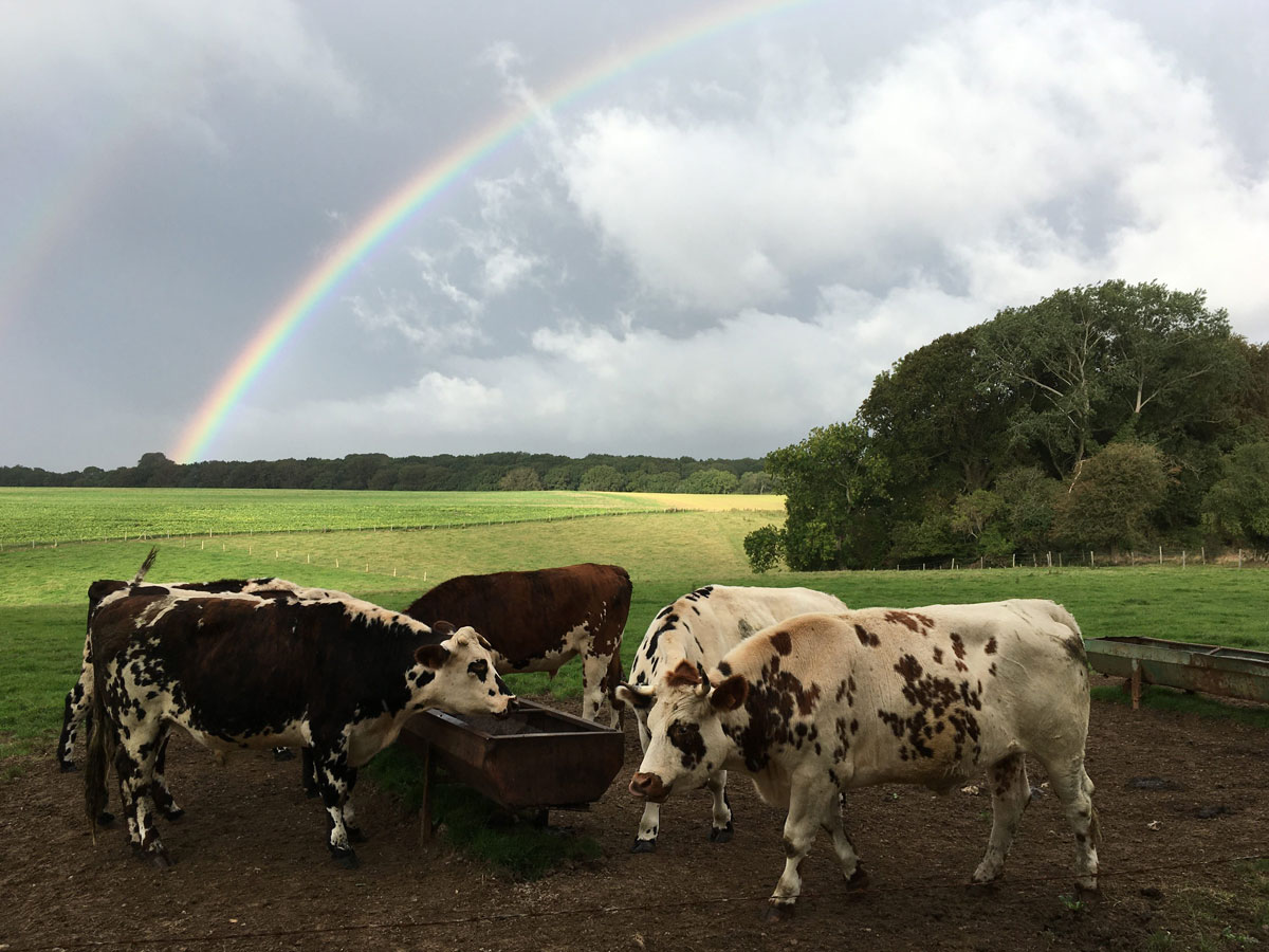 web3©-Ferme-Cidre-Pasquier
