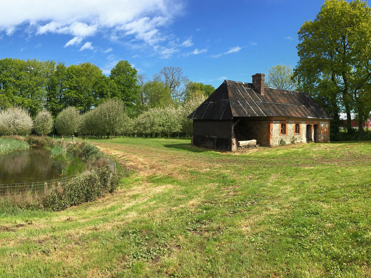 web4©-Ferme-Cidre-Pasquier