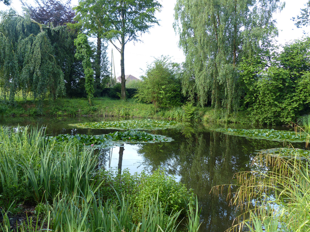 Le Jardin Clos - M. Drouet