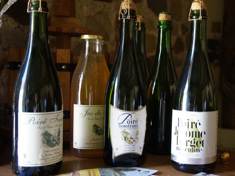 ©Orne Tourisme Ferme de L'Yonnière - Torchamp